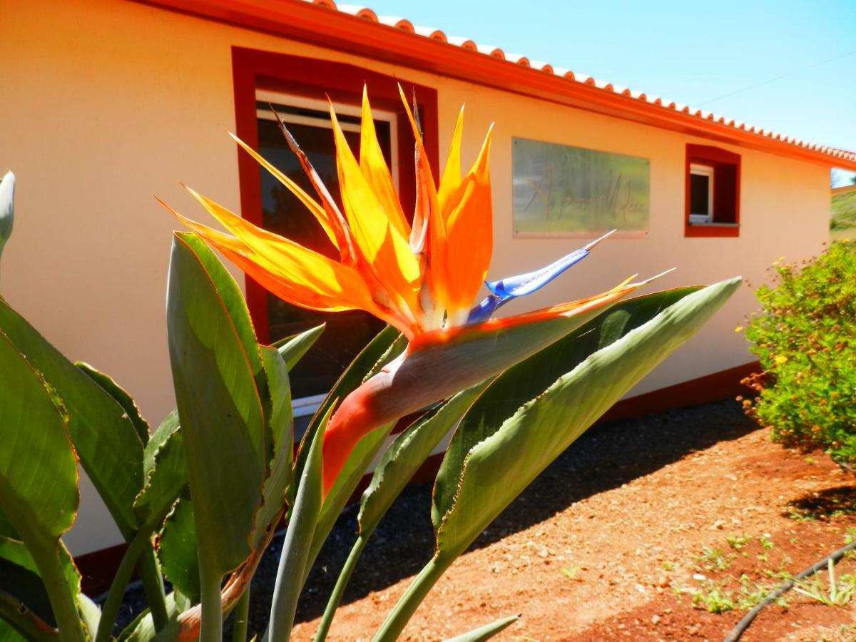Au Petit Madere Villa ปราเซเรช ภายนอก รูปภาพ